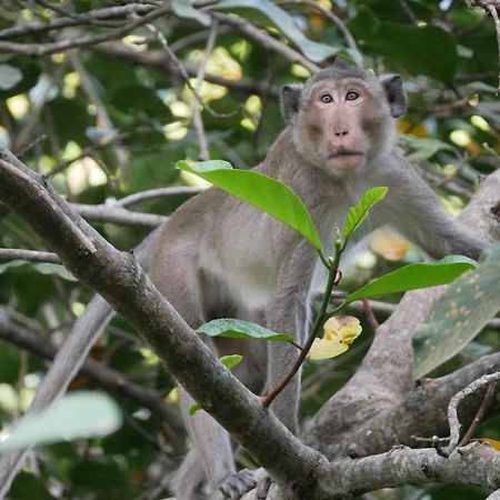 Le Bout Du Monde - Khmer Lodge Kep Eksteriør billede