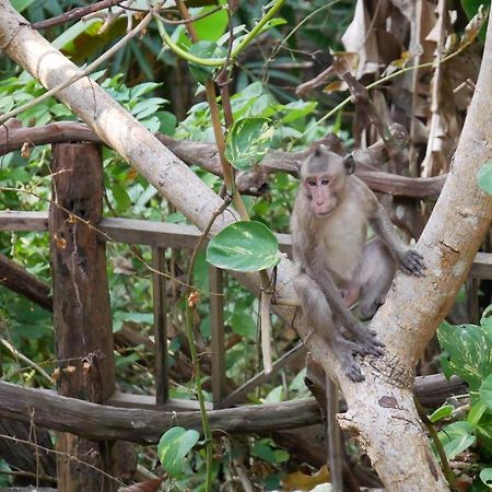 Le Bout Du Monde - Khmer Lodge Kep Eksteriør billede