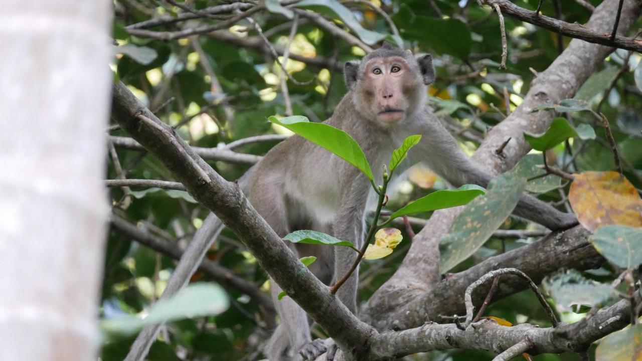 Le Bout Du Monde - Khmer Lodge Kep Eksteriør billede