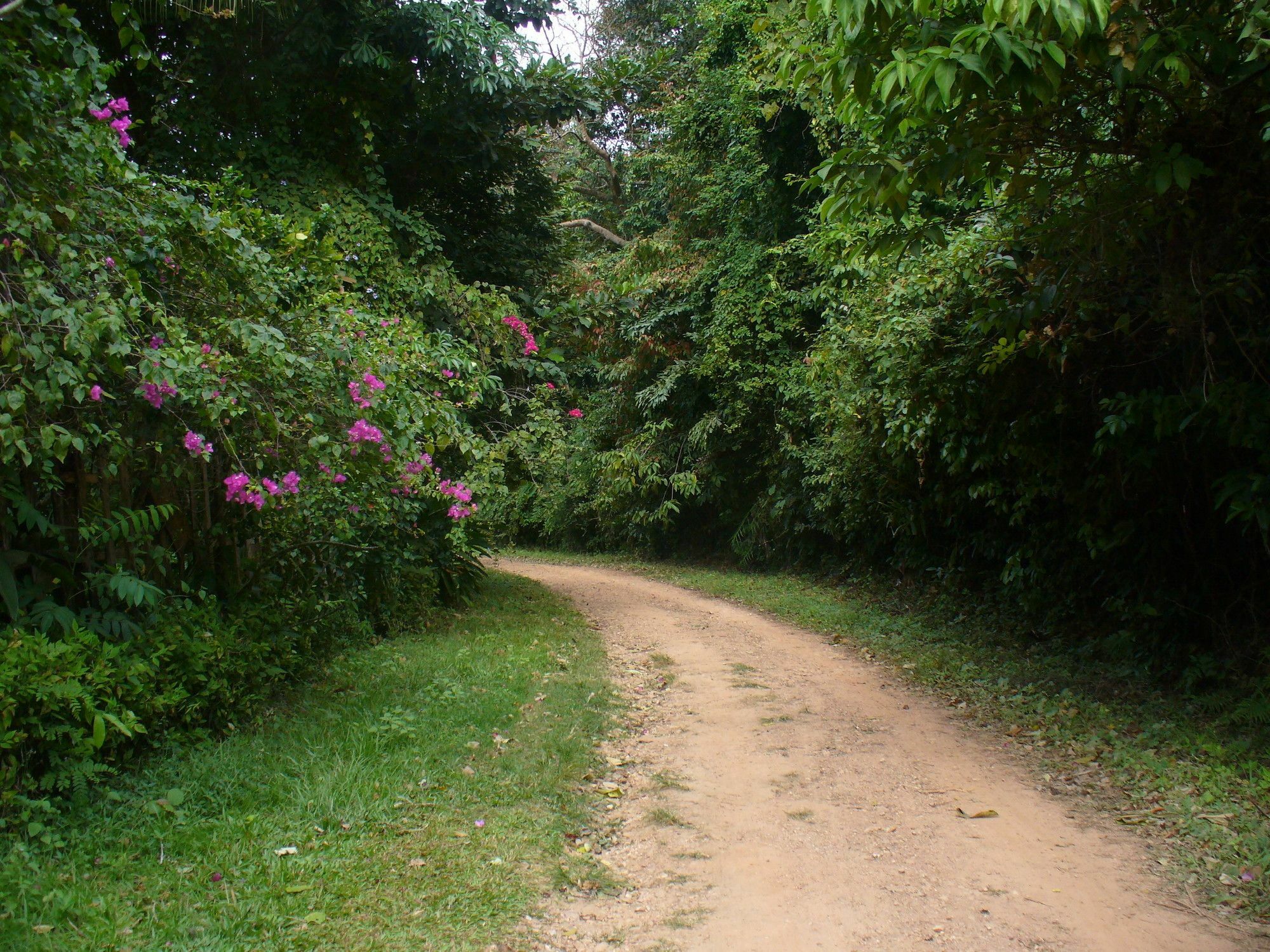 Le Bout Du Monde - Khmer Lodge Kep Eksteriør billede