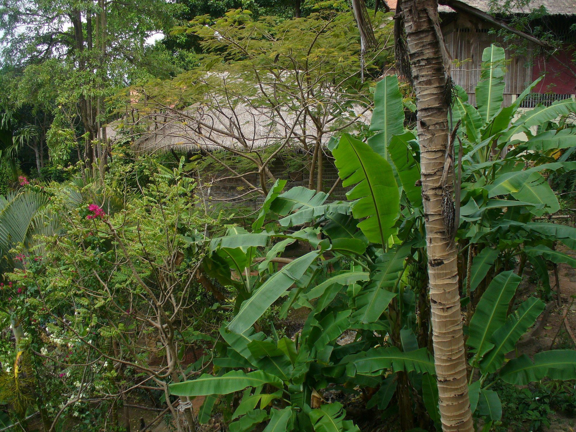 Le Bout Du Monde - Khmer Lodge Kep Eksteriør billede